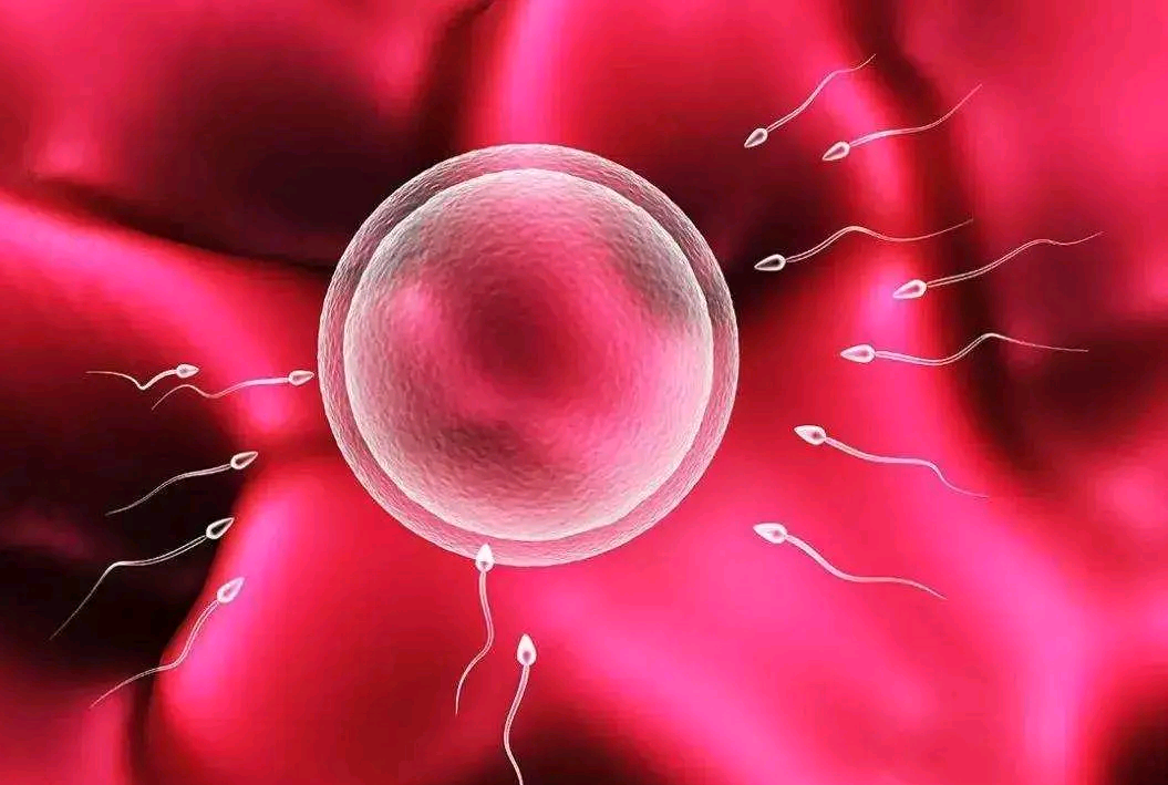 温州捐卵助孕 温州附一医院做试管费用 ‘梅毒初期症状照片男’