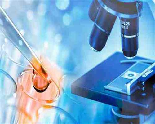 试管助孕双胞胎选择与成功率解析