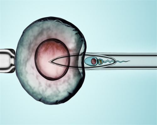 郑州供卵试管周期费用与时间解析，助孕机构选择指南