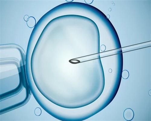 郑州供卵三代试管费用解析与医院选择指南