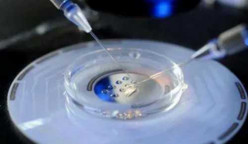 试管婴儿优惠补贴政策与助孕服务指南