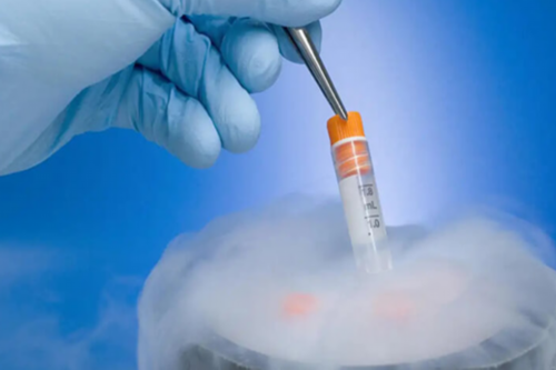 2026最优惠供卵试管套餐及等待时间解析