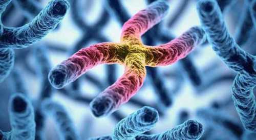 2026郑州三代试管助孕包生男孩服务详解及费用解析