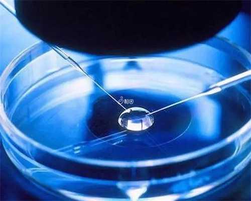 第三代试管包生男孩流程全解析与时间规划指南