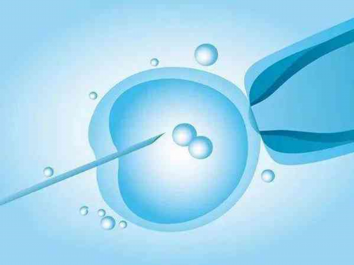 代怀服务与试管婴儿医院技术指南