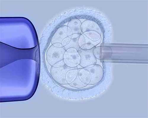 专业助孕机构指南：试管婴儿成功率与费用解析