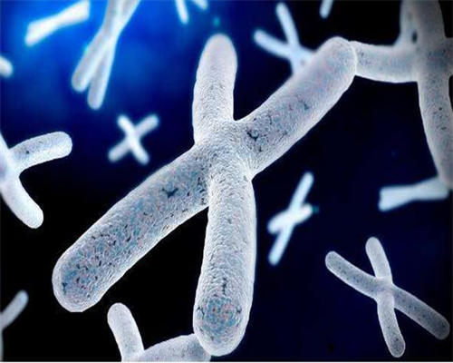 2026年试管婴儿优势与顶尖医院排名解析