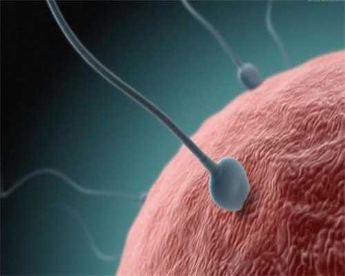 <strong>揭秘优质助孕机构选择指南与排名解析</strong>