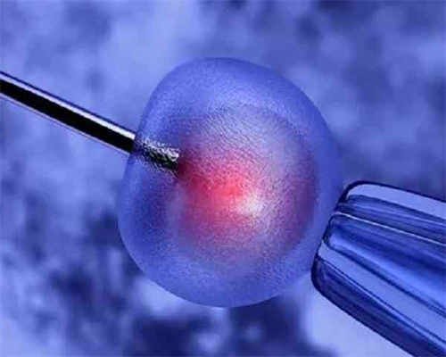 权威助孕机构排名与选择指南