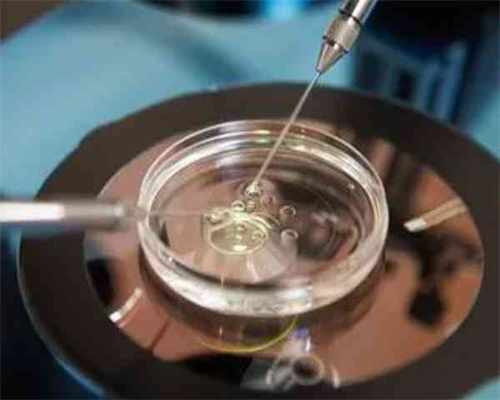 地下供卵机构选择指南与第三代试管费用解析