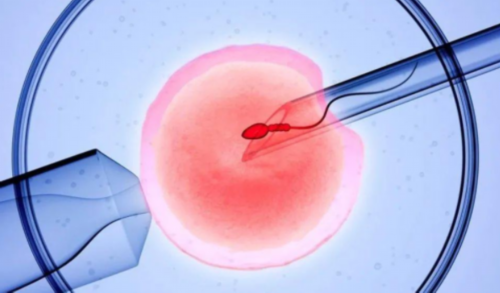 2026借卵试管医院排名与代生服务指南