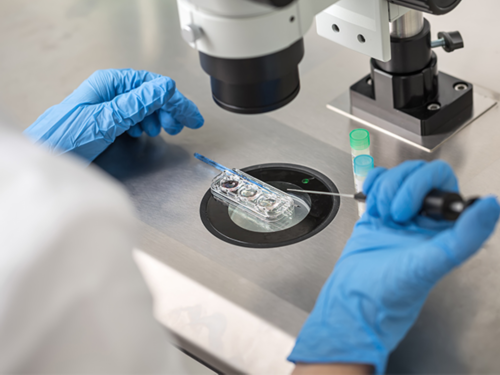 2026年顶尖试管婴儿医院与专家推荐：孕囊直数看男女