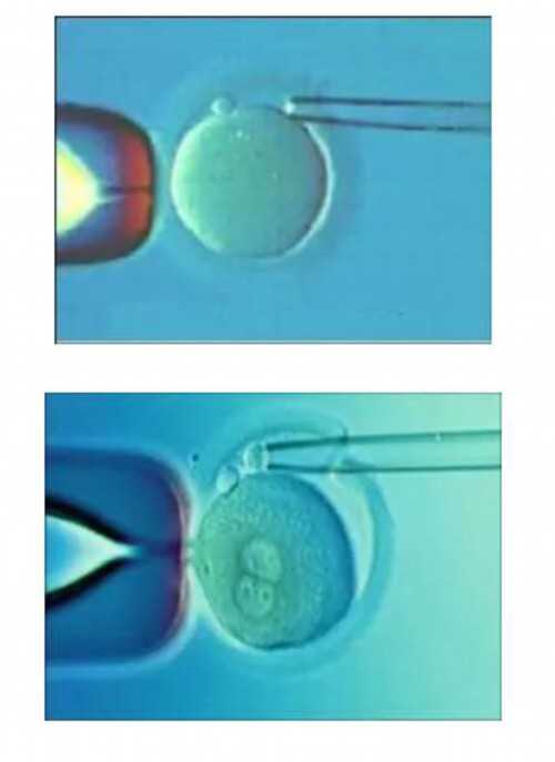 河南正规助孕医院及成功率排名解析