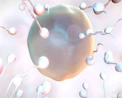 专业代孕包成功与单周期试管移植费用明细及怀孕彩超报告解读