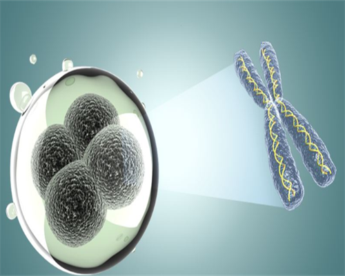 权威试管婴儿医院排名与选择指南