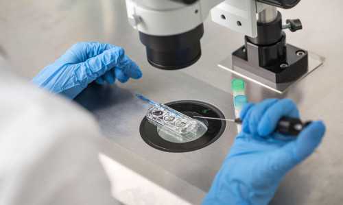 2026年供卵助孕机构排名揭晓，附最大供卵机构详情