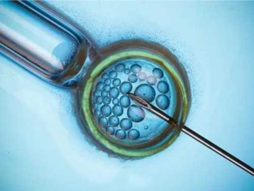 2026年郑州供卵代怀机构排行榜及详情解析