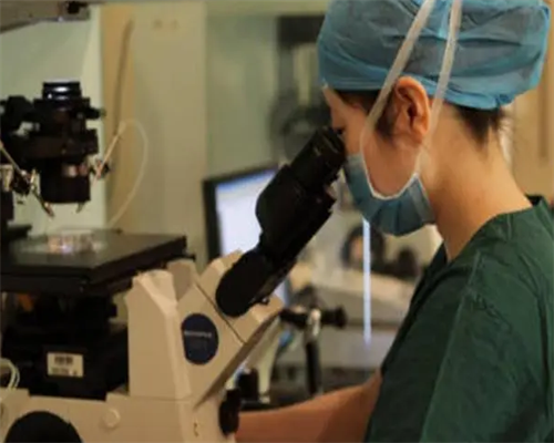 2026年供卵助孕机构排名与详情解析