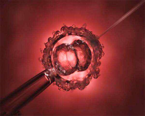 郑州供卵试管三代助孕费用解析与郑州大学第二附属医院介绍