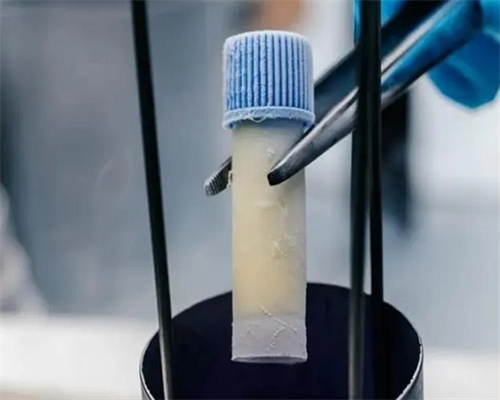 2026年试管助孕双胞胎包成，性别选择男孩可行吗