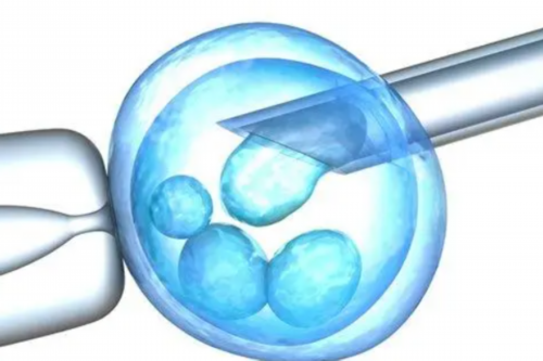 私人试管包男孩服务解析与供卵三代试管技术指南