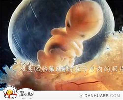内蒙古供卵技术_泰国试管婴儿的六个步骤过程