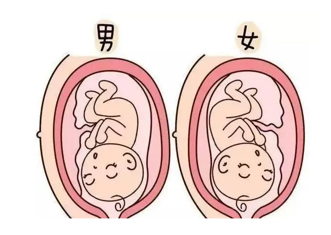 重庆艾滋病可以代孕 重庆妇幼保健院做第三代试管婴儿需要多少